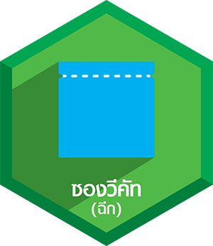 ซองบรรจุภัณฑ์พลาสติก ซองวีคัทสำหรับฉีก ซองบรรจุภัณฑ์พลาสติก ซองวีคัทสำหรับฉีก